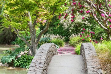 The Christchurch Botanic Gardens